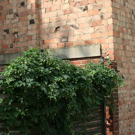 アパート Business Lounge *