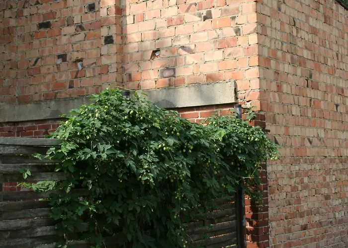 דירה Business Lounge *